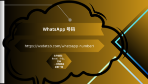 WhatsApp 号码