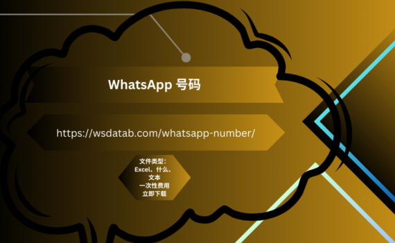 WhatsApp 号码