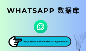 WhatsApp 号码 